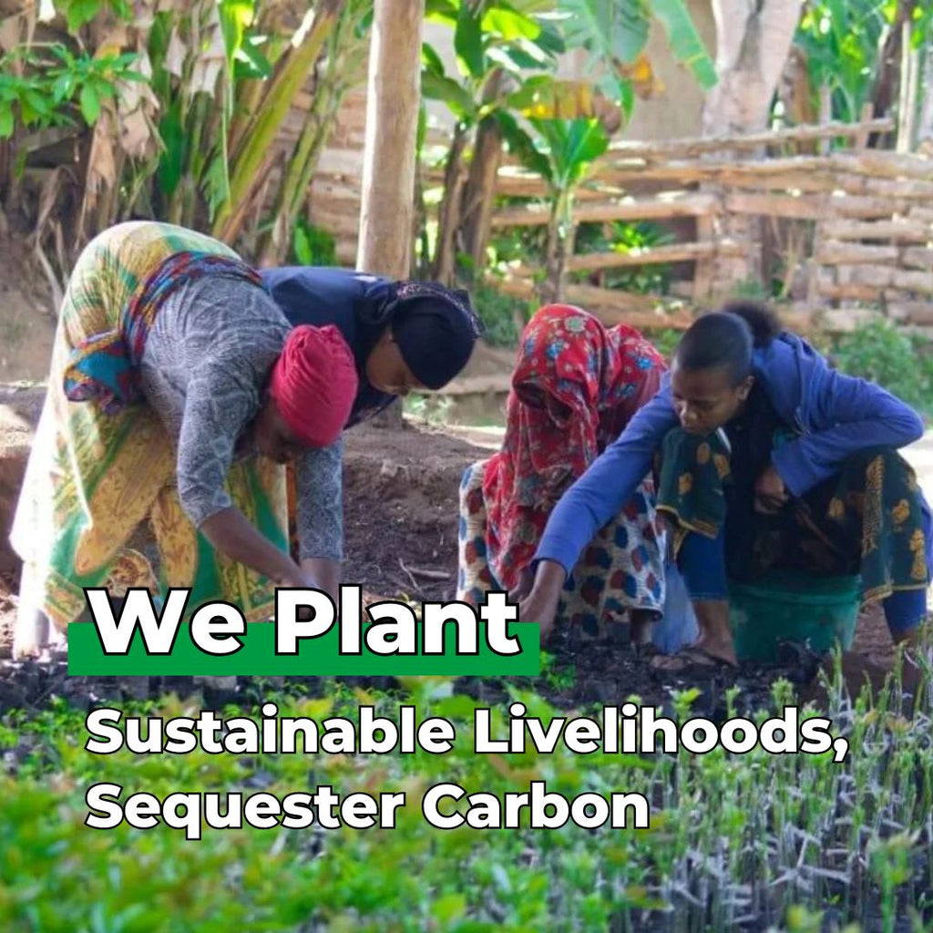 You Plant We Plant Tree Pouch, Grow a Tree and We'll Plant 100 More ForestNation
