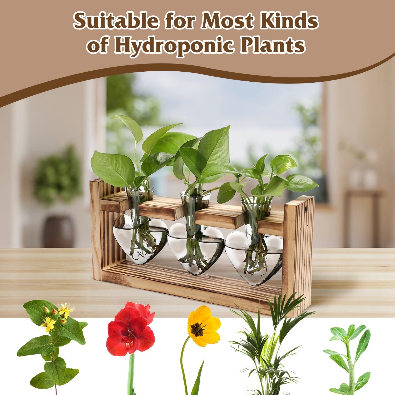 1Pc Plant Terrarium Propagation Station With 3 Heart Shaped Vases Wooden Stand Desktop Air Planter Bulb Glass Vase For Hydroponics Home Office Decor Gift For Plant Lovers Rooted Treasures Farms