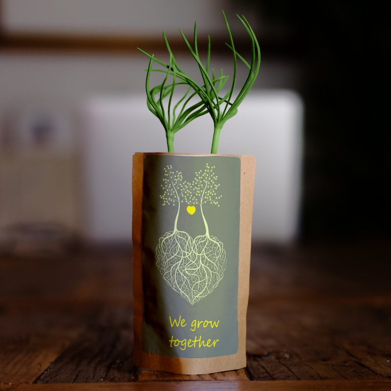 Nurture Our Roots with 100 Trees – “Roots of Love"-0