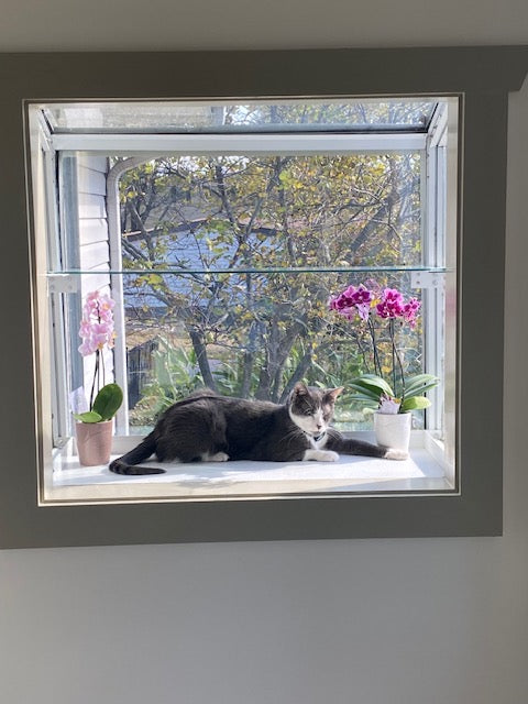 Garden Window Janco greenhouse