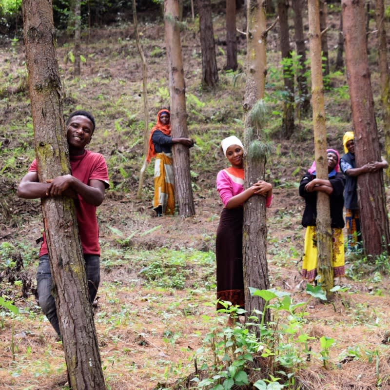 You Plant We Plant Tree Pouch, Grow a Tree and We'll Plant 100 More ForestNation