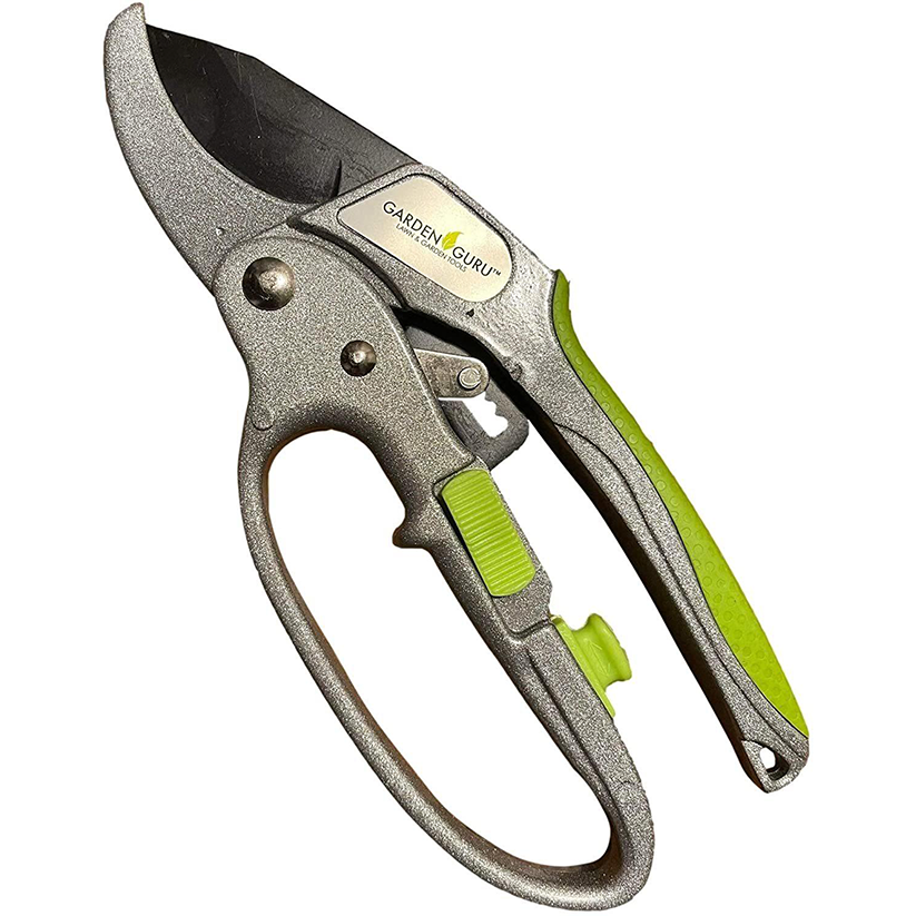 Ratchet Garden Pruning Shears Clippers Deluxe Garden Guru