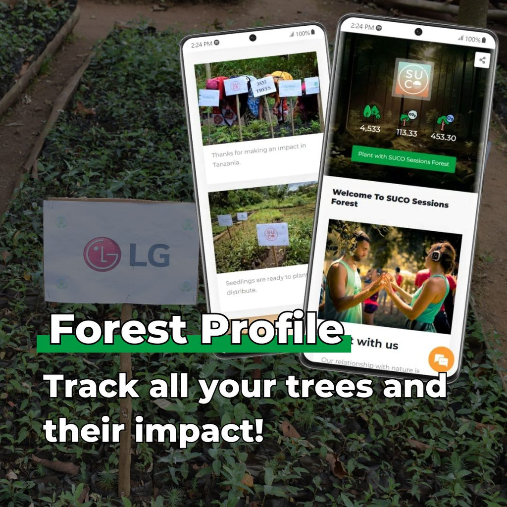 Nurture Our Roots with 100 Trees – “Roots of Love"-4
