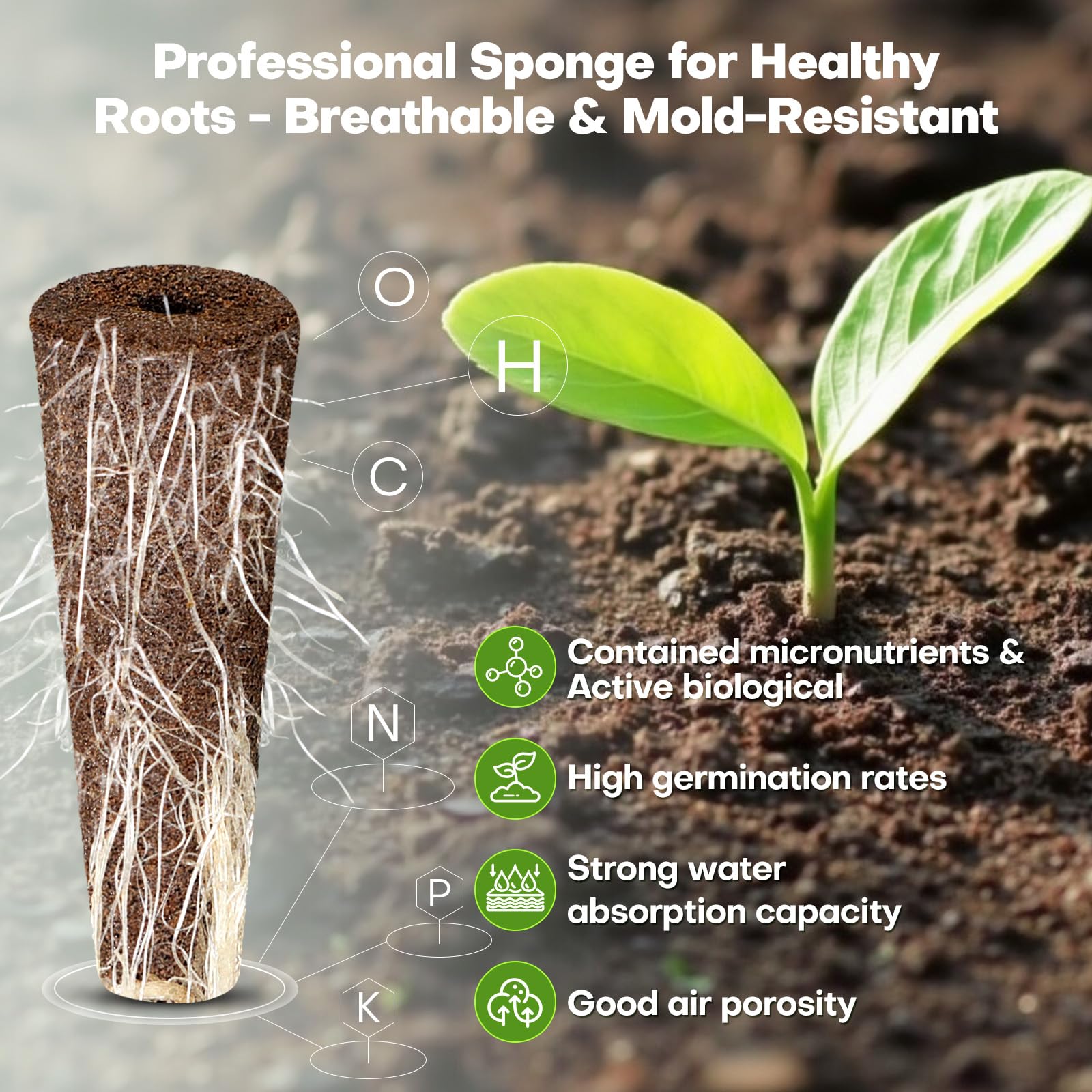 Ahopegarden 86PCS Hydroponic Pods Kit: Grow Anything Herb Kits with 600ml A&B Plant Food, 40 Grow Sponges, 40 Labels, 1 Tweezer - Hydroponics Supplies for Aerogarden&Most Brand Herb Garden The Rooted Muse