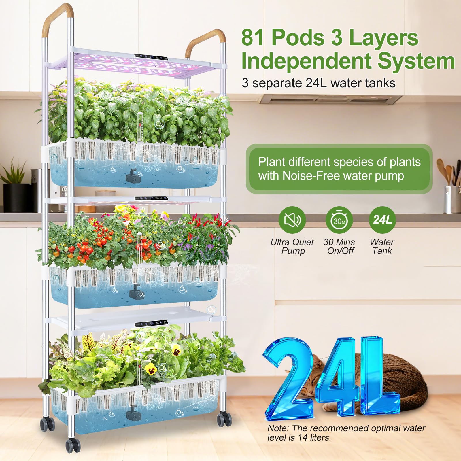 Indoor Hydroponic Growing System with 81 Pods Herbs Garden Kit with 30W Led Grow Light Large Movable 3-Layer Floor-Standing Hydroponic Gardening System for Vegetable Fruit The Rooted Muse