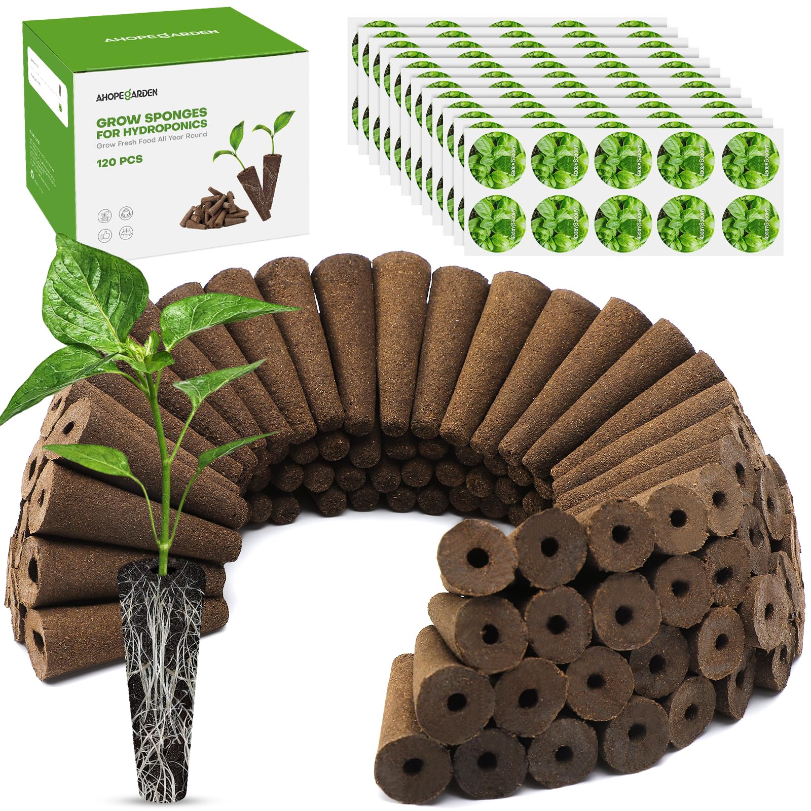 Ahopegarden 86PCS Hydroponic Pods Kit: Grow Anything Herb Kits with 600ml A&B Plant Food, 40 Grow Sponges, 40 Labels, 1 Tweezer - Hydroponics Supplies for Aerogarden&Most Brand Herb Garden The Rooted Muse
