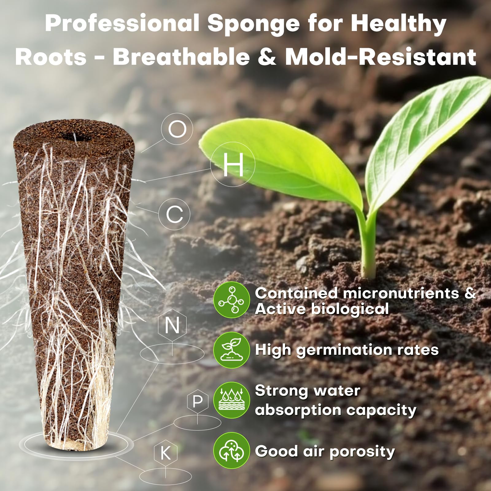 Ahopegarden 86PCS Hydroponic Pods Kit: Grow Anything Herb Kits with 600ml A&B Plant Food, 40 Grow Sponges, 40 Labels, 1 Tweezer - Hydroponics Supplies for Aerogarden&Most Brand Herb Garden The Rooted Muse