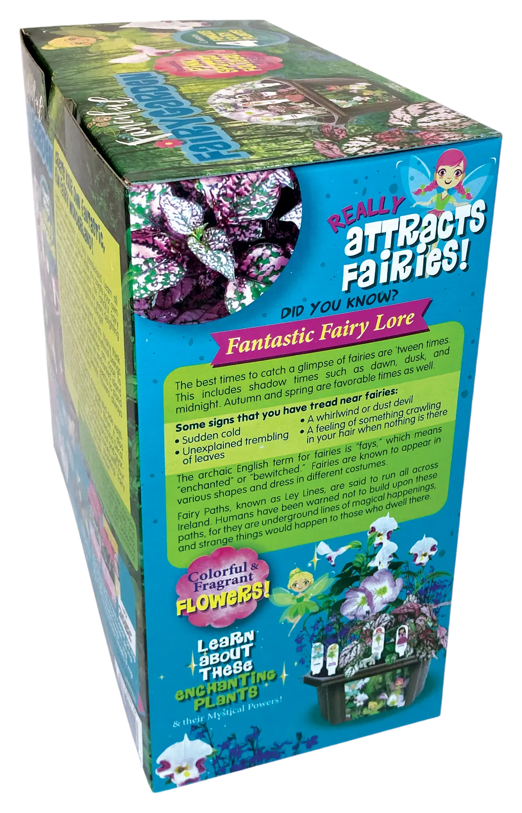 Fanciful Fairy Garden Biosphere Terrarium Unique Gardener