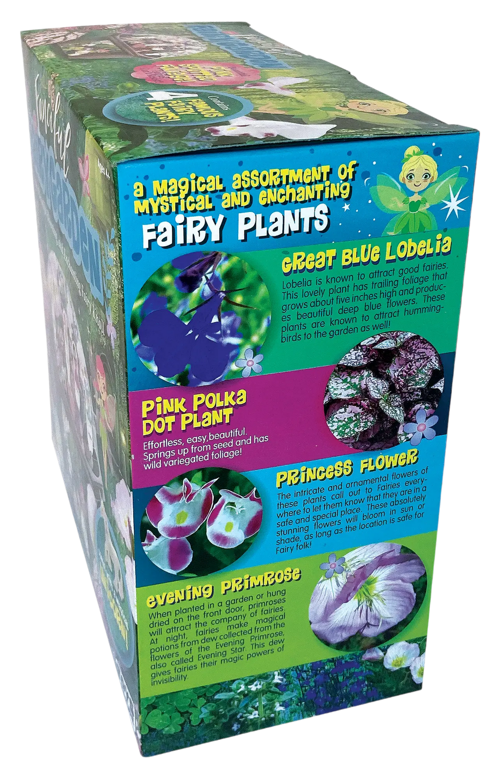 Fanciful Fairy Garden Biosphere Terrarium Unique Gardener