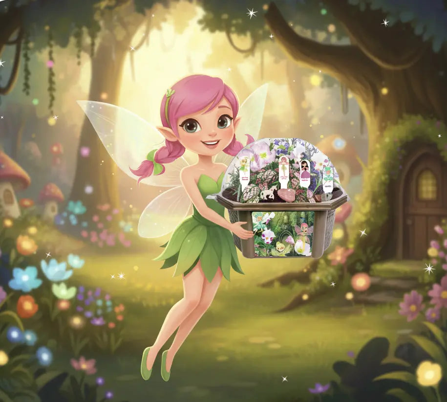 Fanciful Fairy Garden Biosphere Terrarium Unique Gardener