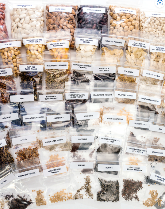 Prepper’s Special- 5 All-In-One Kits ARK Seed Kits