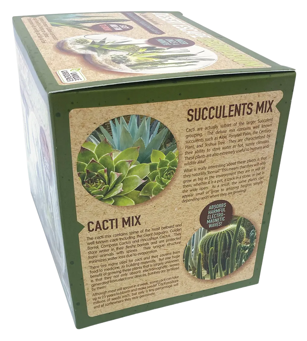 Desert Escape Growarium Succulent and Cacti Seed Terrarium Kit Unique Gardener