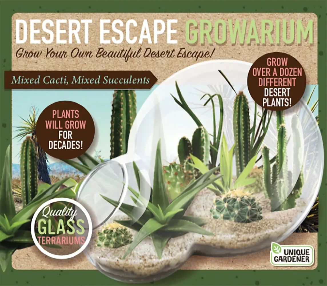 Desert Escape Growarium Succulent and Cacti Seed Terrarium Kit Unique Gardener