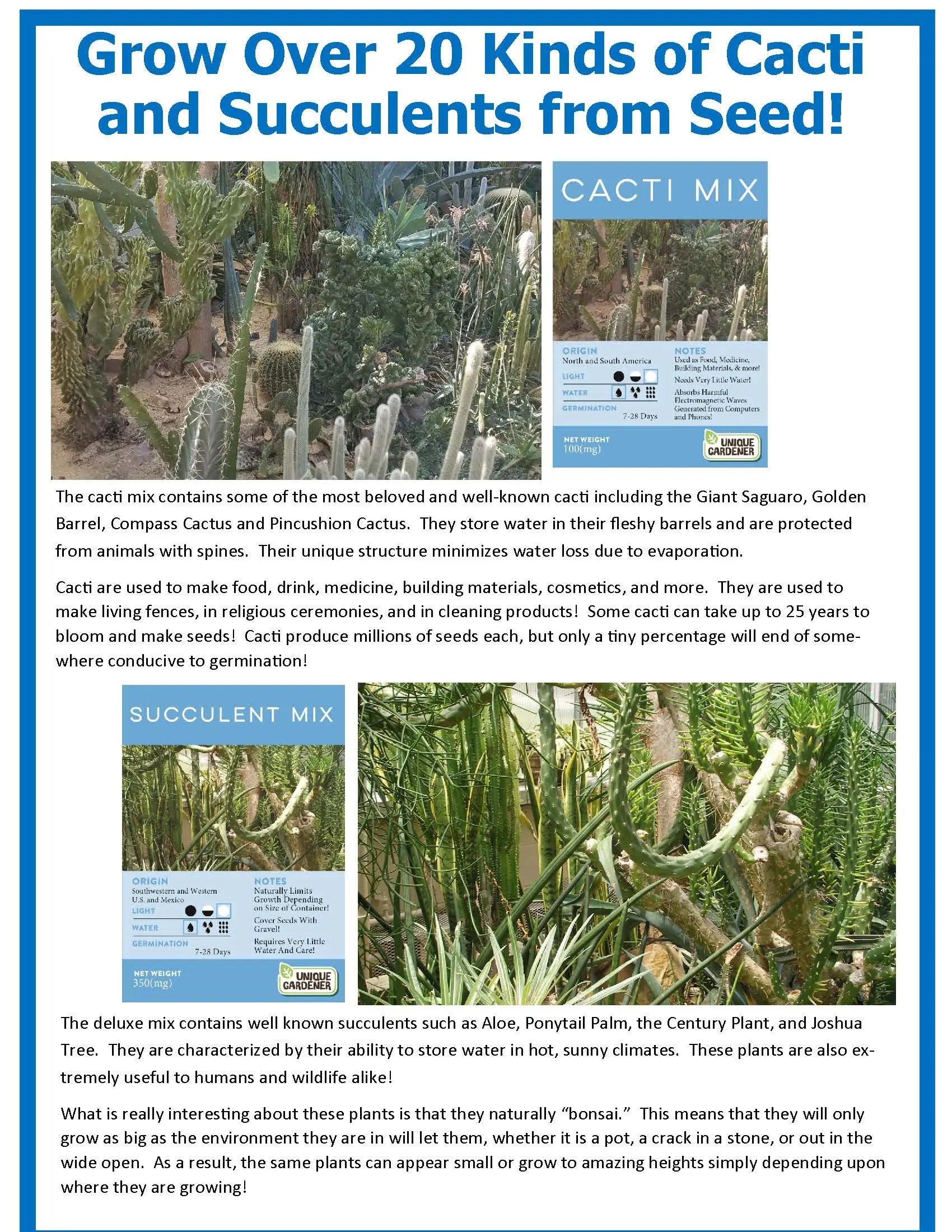 Desert Escape Growarium Succulent and Cacti Seed Terrarium Kit Unique Gardener