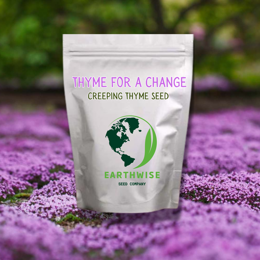 Thyme for a Change - Red Creeping Thyme Seed Earthwise Seed