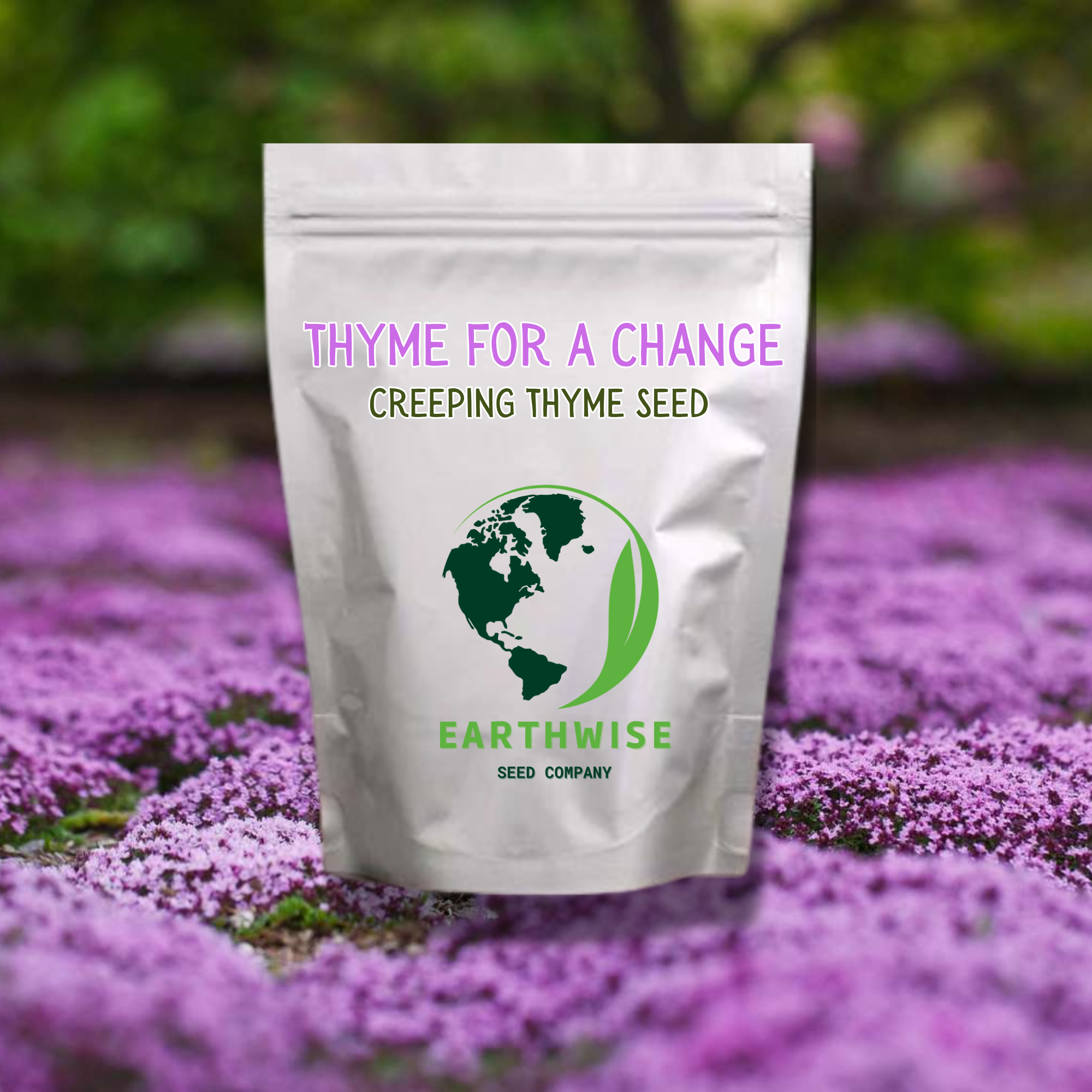 Thyme for a Change - Red Creeping Thyme Seed Earthwise Seed