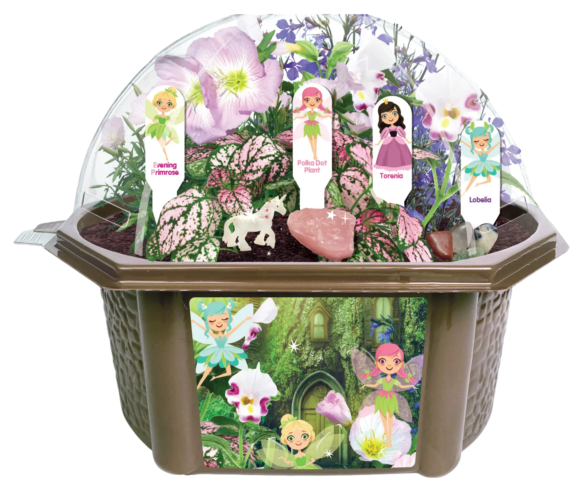Fanciful Fairy Garden Biosphere Terrarium Unique Gardener