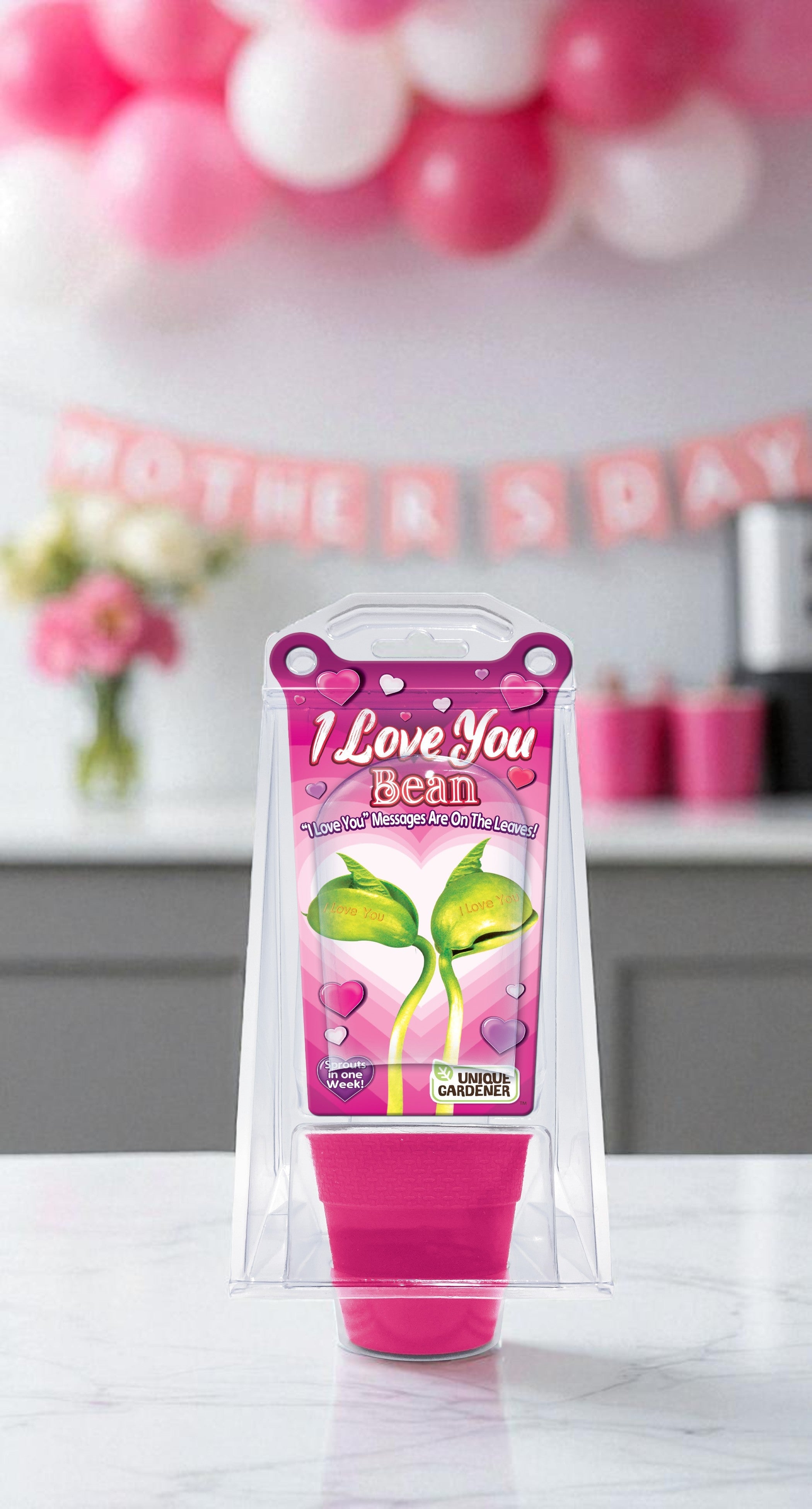 "I Love You" Bean Terrarium Unique Gardener