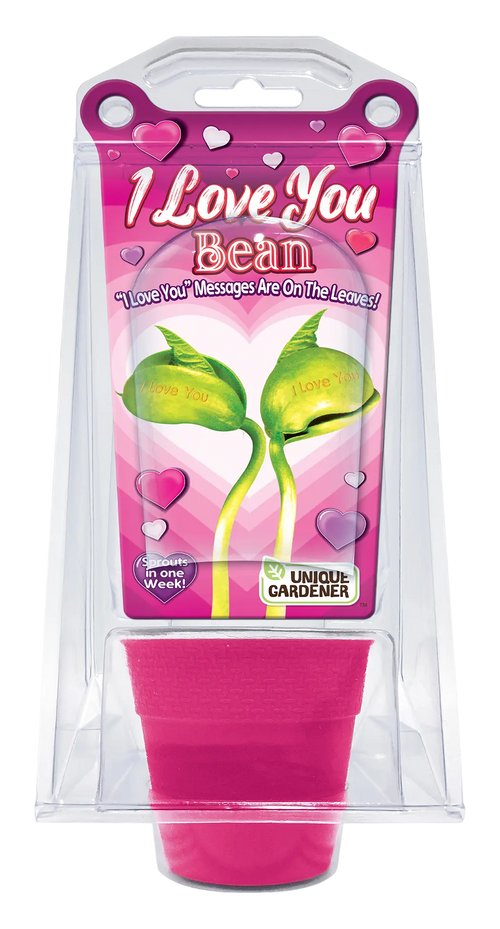"I Love You" Bean Terrarium Unique Gardener