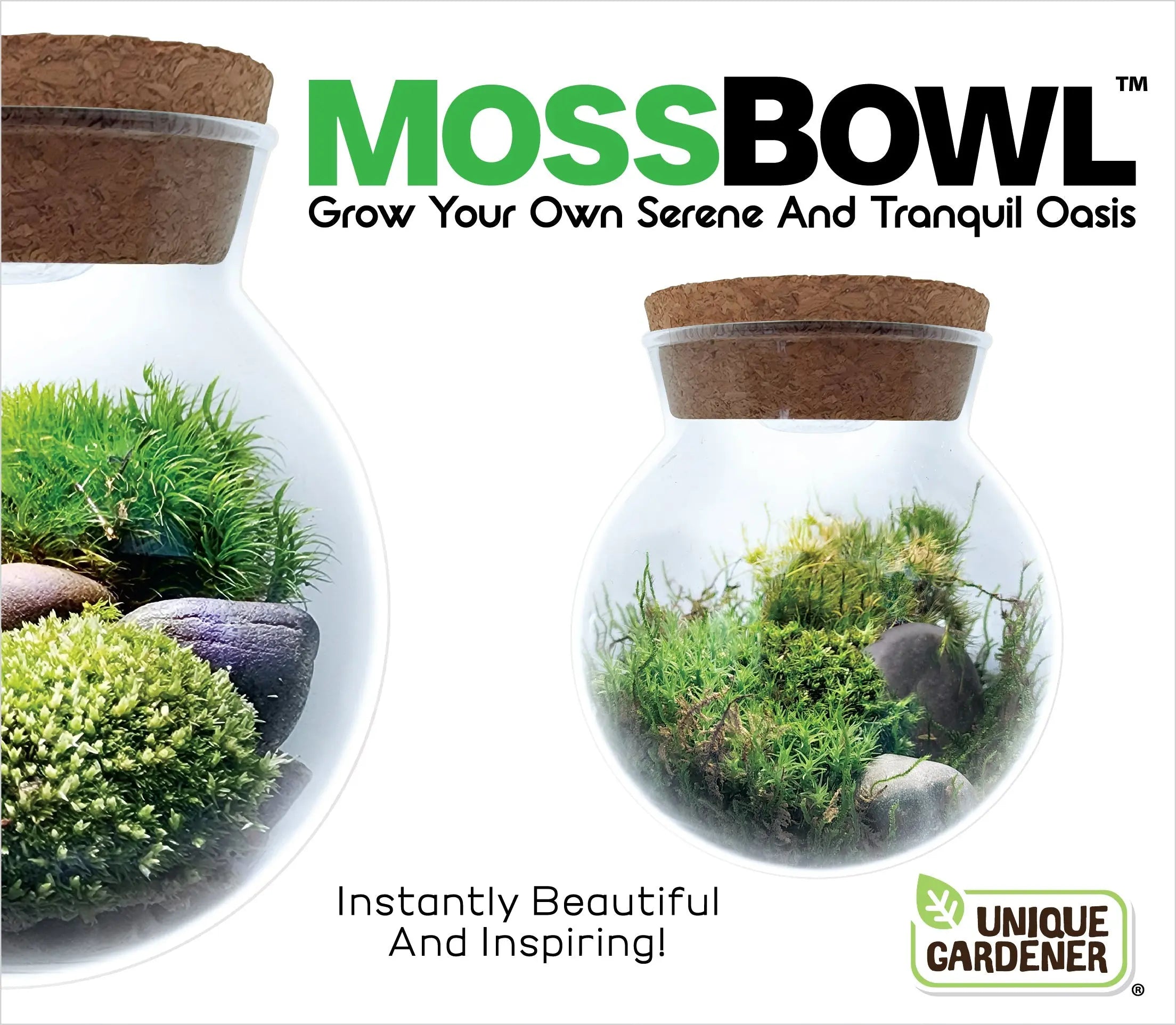 MossBowl- Grow Your Own Beautiful Moss Garden, Complete Kit Come with 3 Mosses! Unique Gardener
