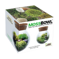 MossBowl- Grow Your Own Beautiful Moss Garden, Complete Kit Come with 3 Mosses! Unique Gardener