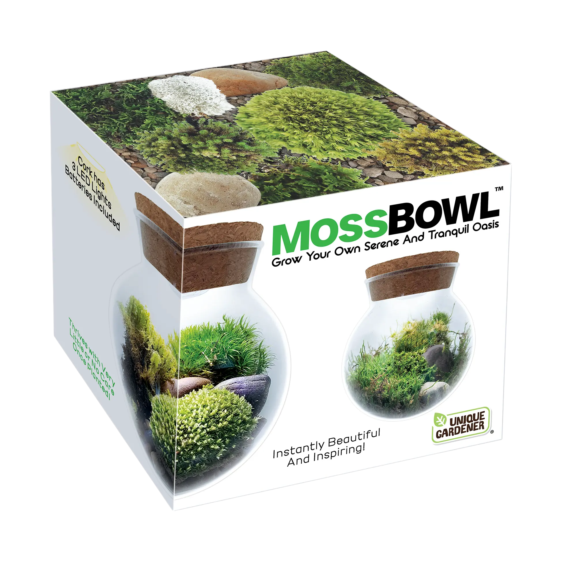 MossBowl- Grow Your Own Beautiful Moss Garden, Complete Kit Come with 3 Mosses! Unique Gardener