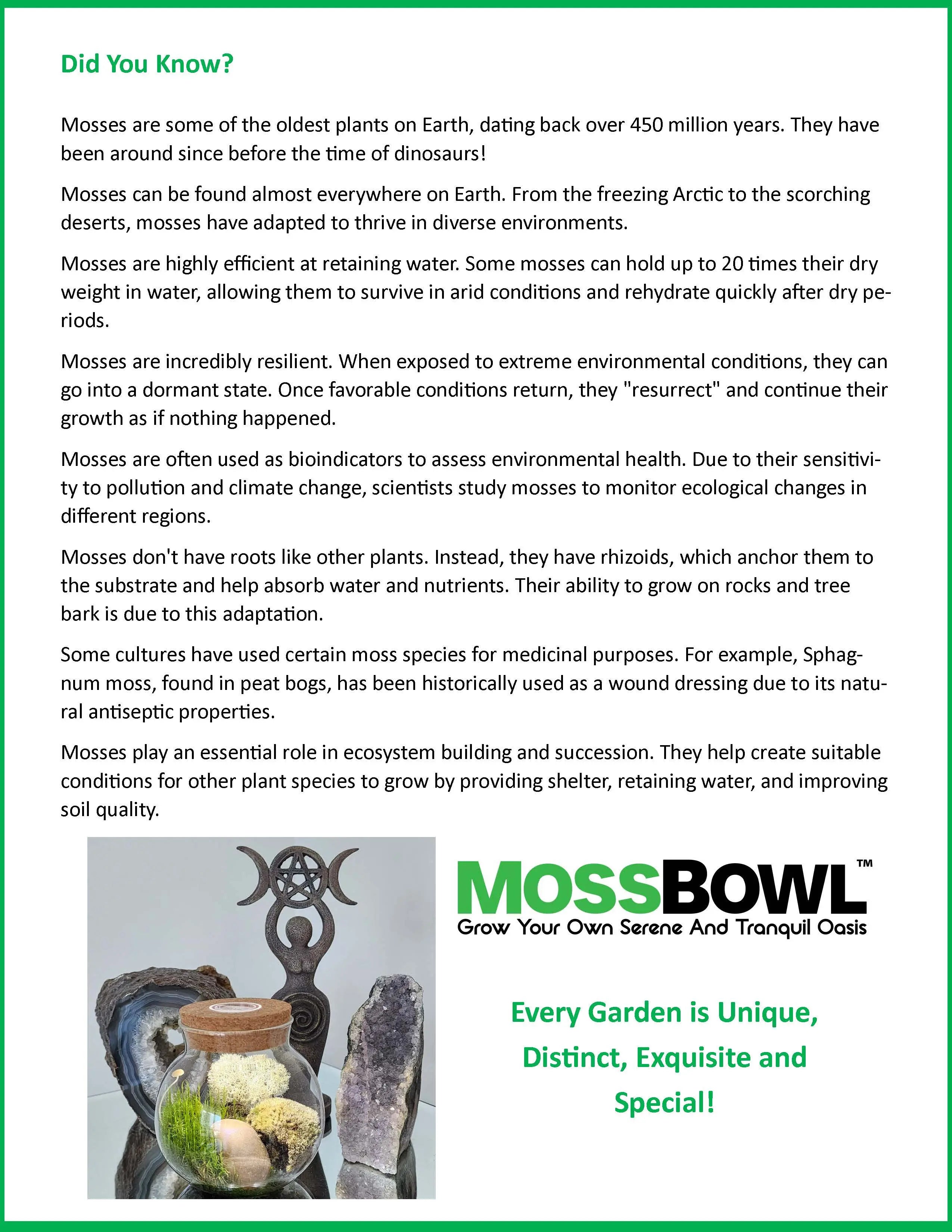 MossBowl- Grow Your Own Beautiful Moss Garden, Complete Kit Come with 3 Mosses! Unique Gardener