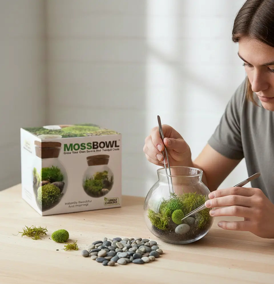 MossBowl- Grow Your Own Beautiful Moss Garden, Complete Kit Come with 3 Mosses! Unique Gardener