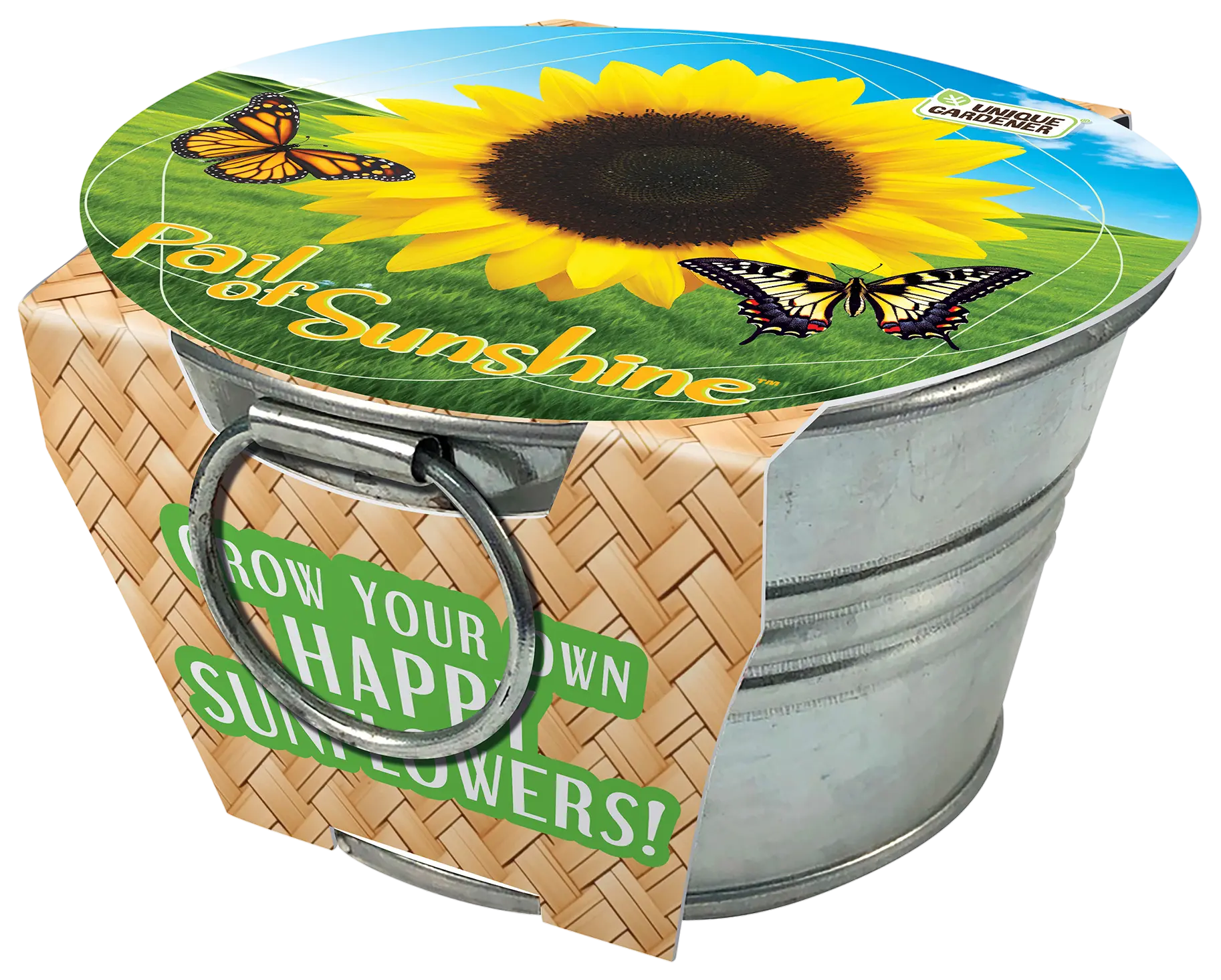 Pail of Sunshine - Grow Your Own Sunflowers Multipack of 3 Unique Gardener