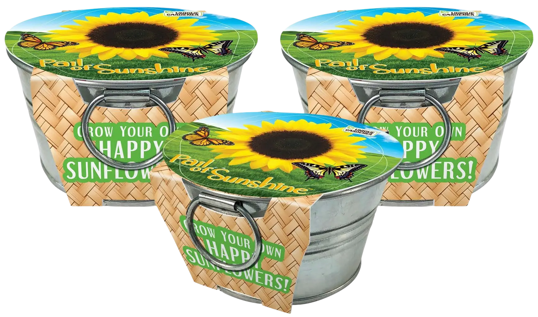 Pail of Sunshine - Grow Your Own Sunflowers Multipack of 3 Unique Gardener