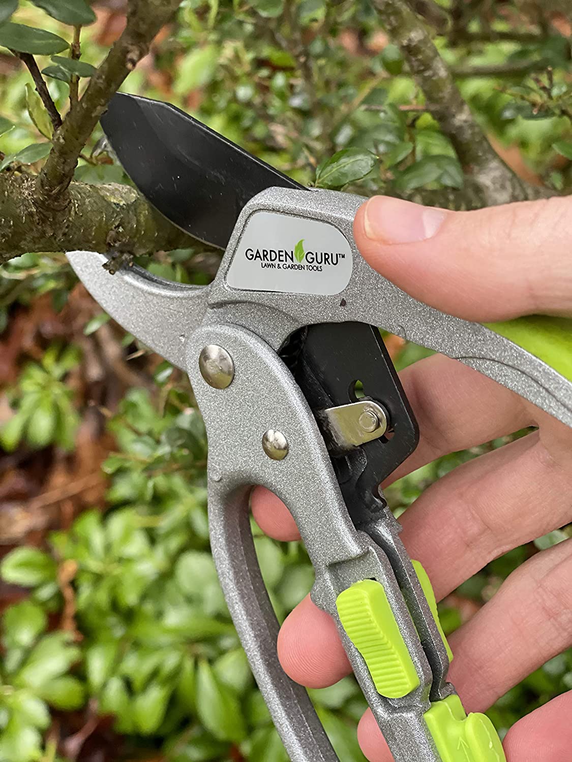 Ratchet Garden Pruning Shears Clippers Deluxe Garden Guru