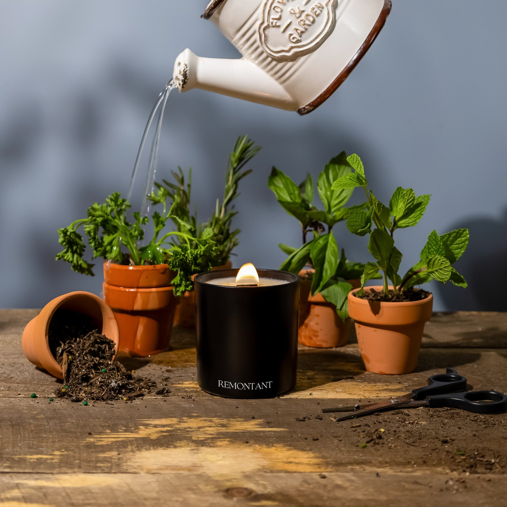 Herb Garden Candle  | Herbs ~ Basil ~ Mint | Wood Wick Candle The Remontant