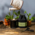 Herb Garden Candle  | Herbs ~ Basil ~ Mint | Wood Wick Candle The Remontant