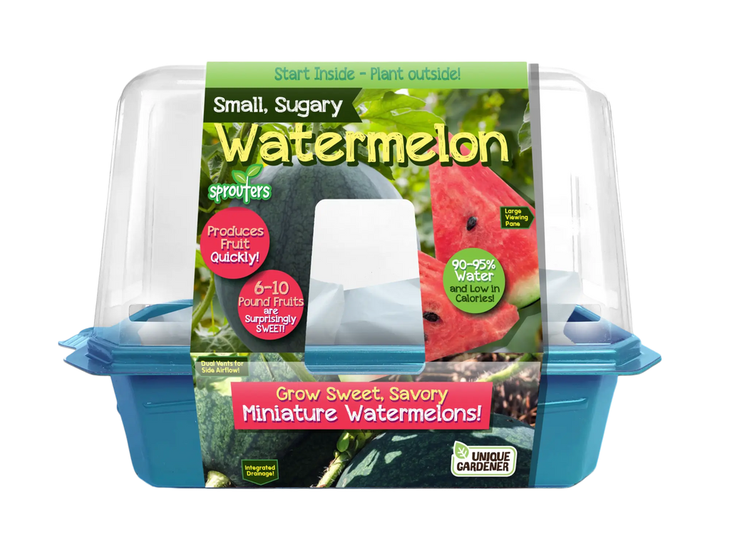 Small, Sugary Watermelon Sprouter Terrarium Unique Gardener