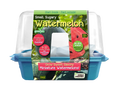 Small, Sugary Watermelon Sprouter Terrarium Unique Gardener