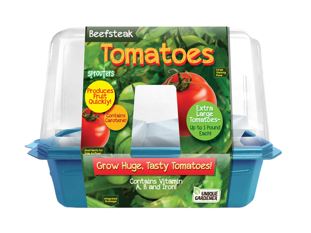 Beefsteak Tomatoes Sprouter Terrarium Unique Gardener