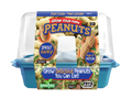Grow Your Own Peanuts Sprouter Terrarium Unique Gardener
