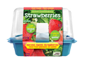 Sweet Everbearing Strawberries Sprouter Terrarium Unique Gardener