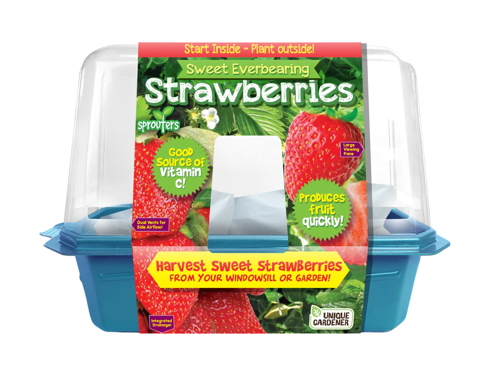 Sweet Everbearing Strawberries Sprouter Terrarium Unique Gardener