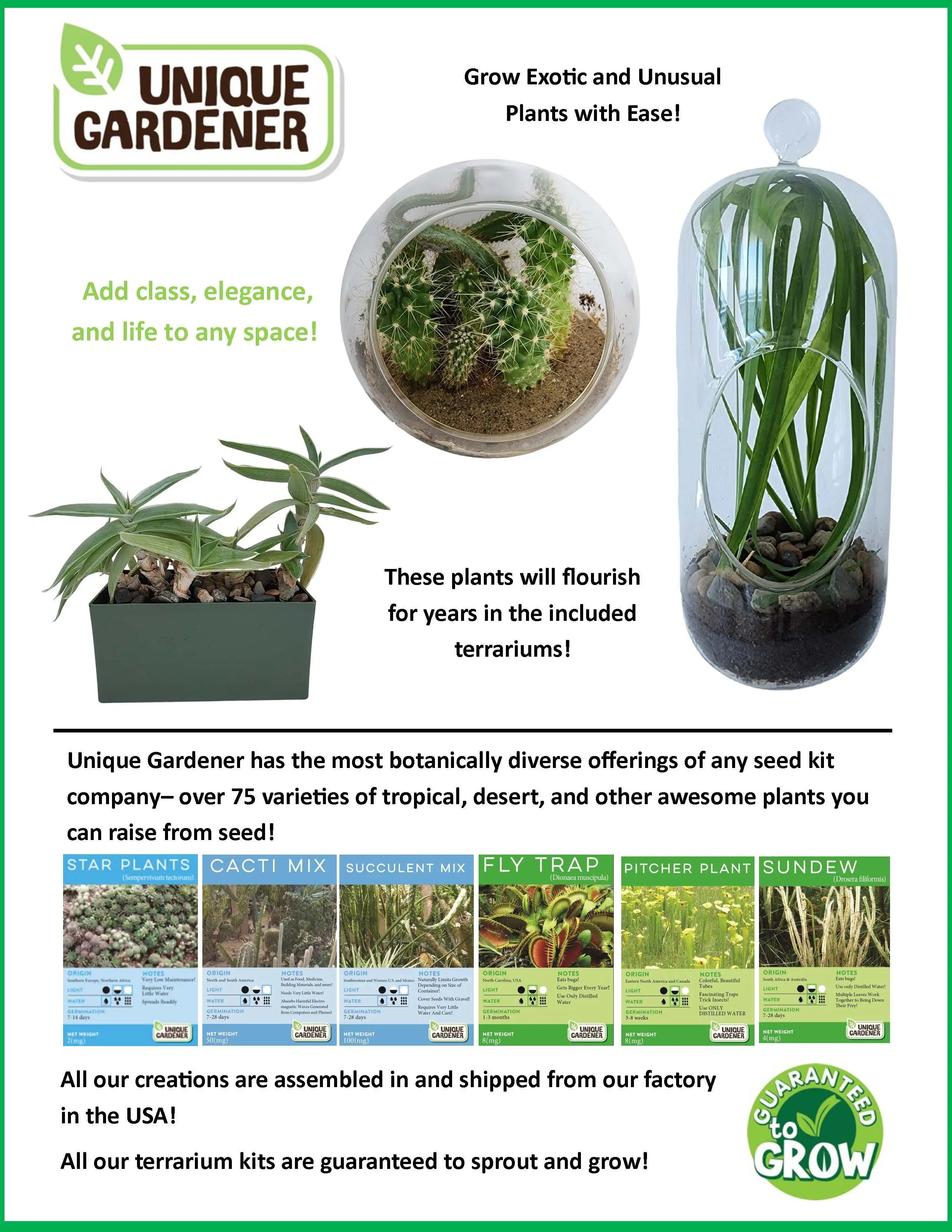 Desert Escape Growarium Succulent and Cacti Seed Terrarium Kit Unique Gardener