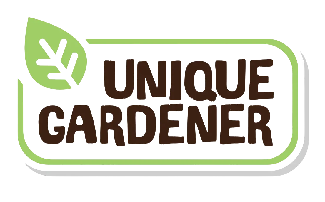 Sweet Everbearing Strawberries Sprouter Terrarium Unique Gardener