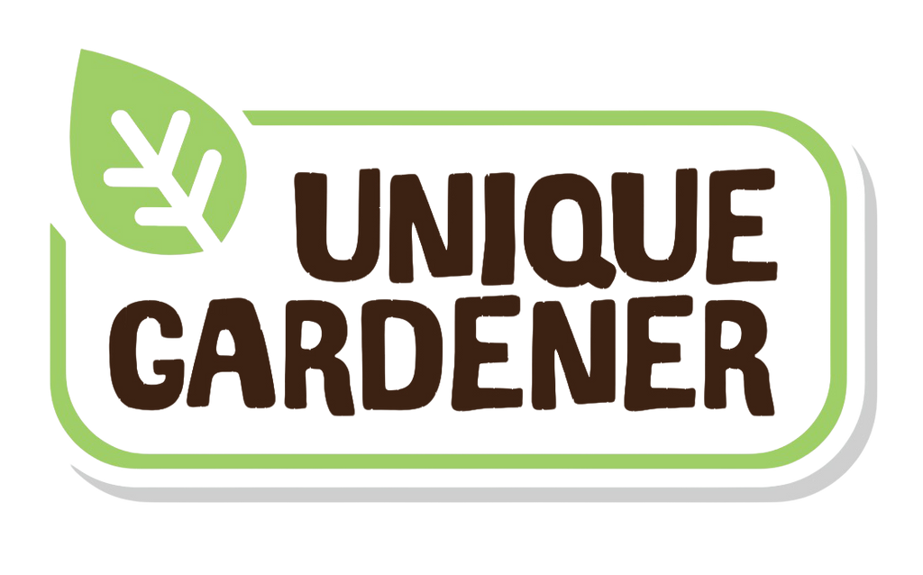 Beefsteak Tomatoes Sprouter Terrarium Unique Gardener