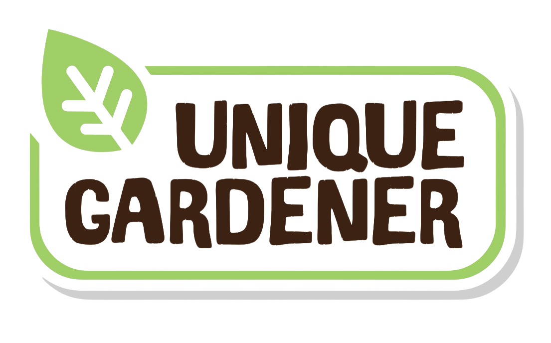 Beefsteak Tomatoes Sprouter Terrarium Unique Gardener
