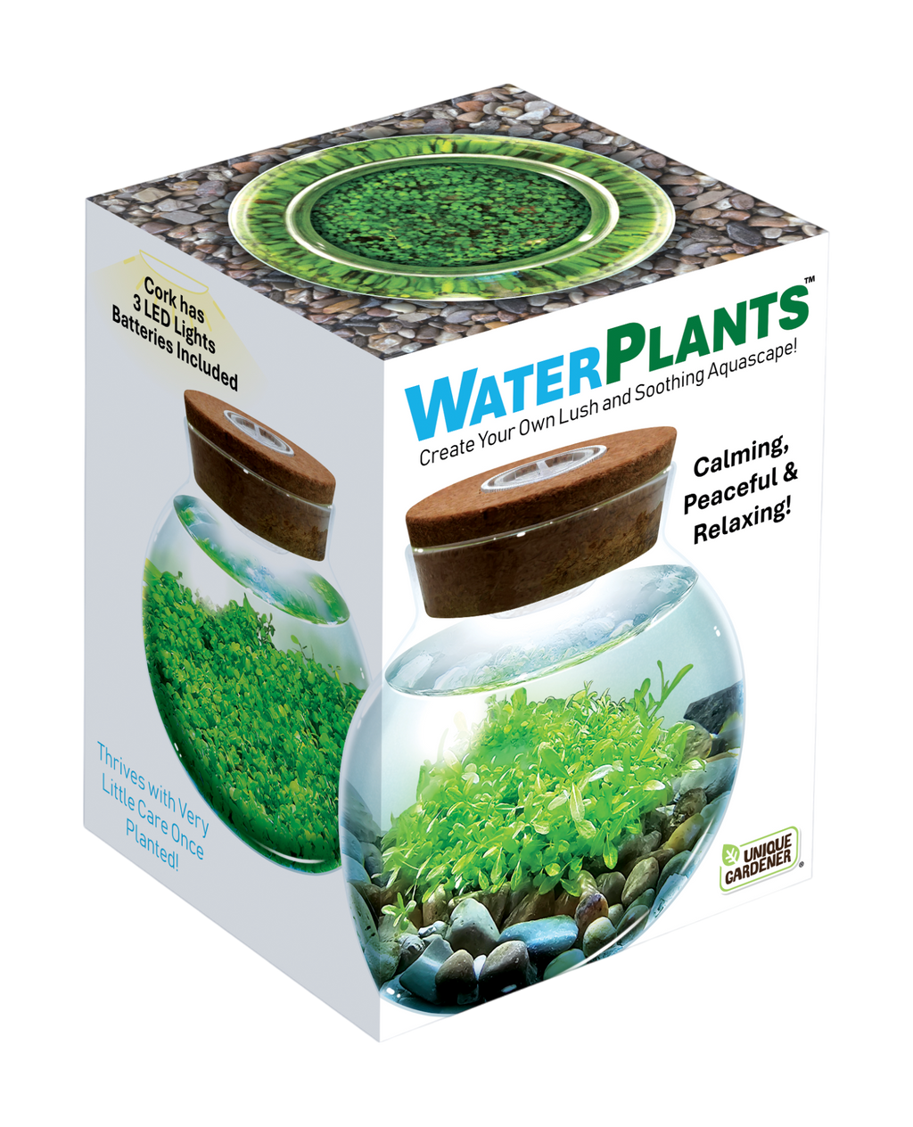 WaterPlants- Grow Lush Aquatic Plants from Seed! Thrives With Minimal Care Unique Gardener
