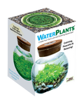 WaterPlants- Grow Lush Aquatic Plants from Seed! Thrives With Minimal Care Unique Gardener