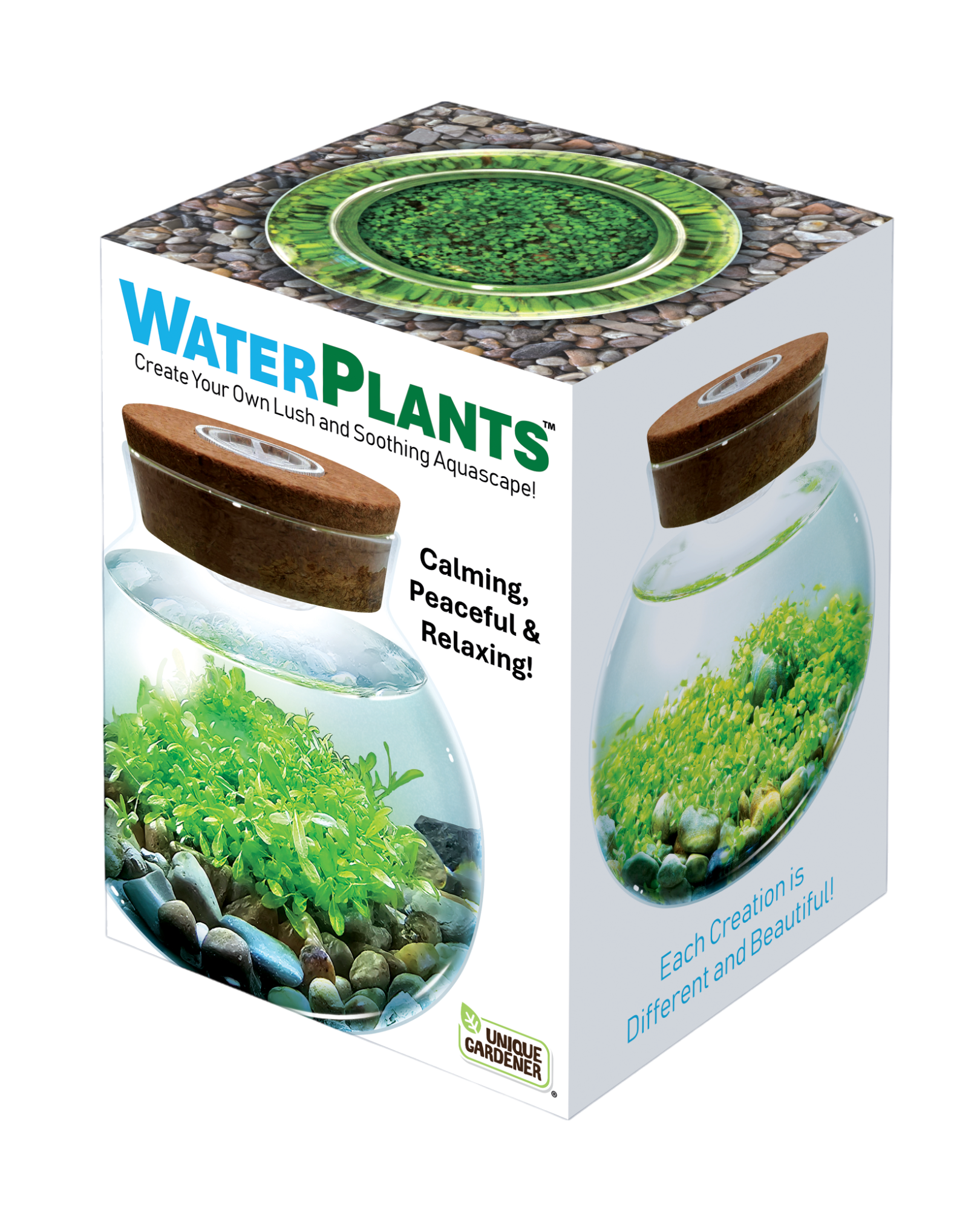 WaterPlants- Grow Lush Aquatic Plants from Seed! Thrives With Minimal Care Unique Gardener