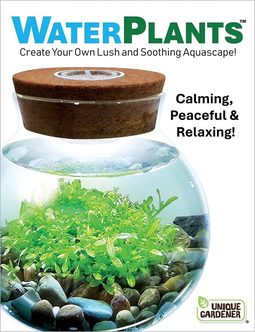 WaterPlants- Grow Lush Aquatic Plants from Seed! Thrives With Minimal Care Unique Gardener