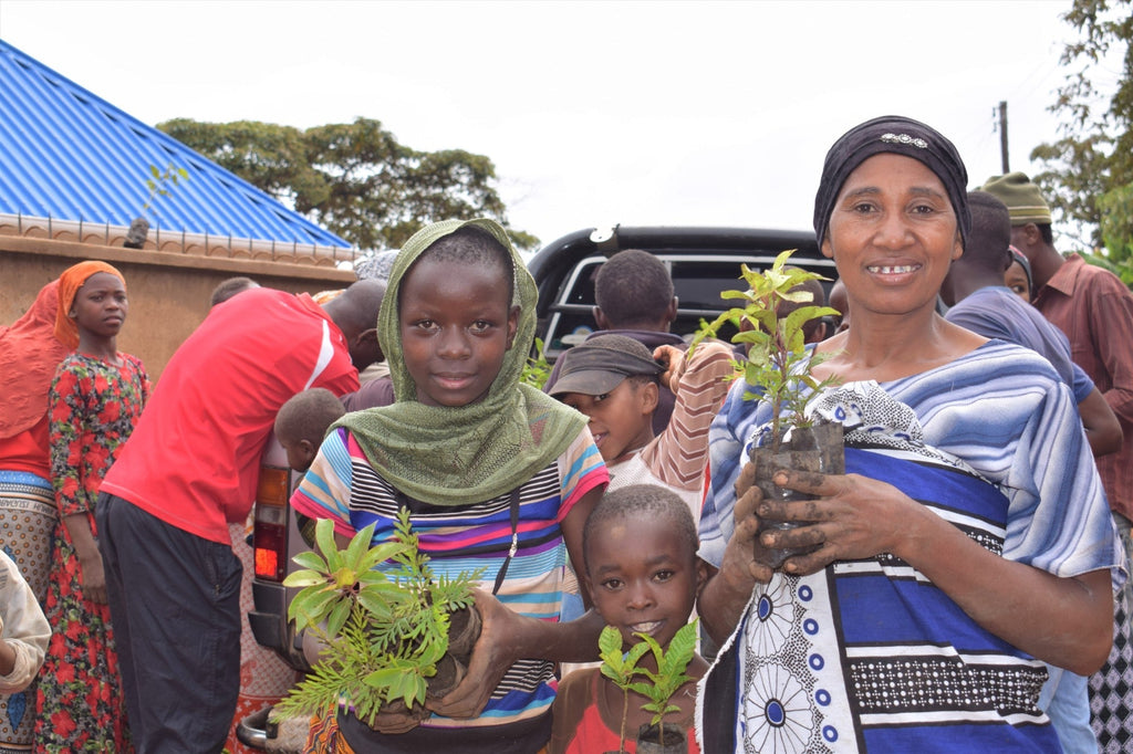 You Plant We Plant Pack of 3 Tree Kits, We Plant 30 More Trees ForestNation
