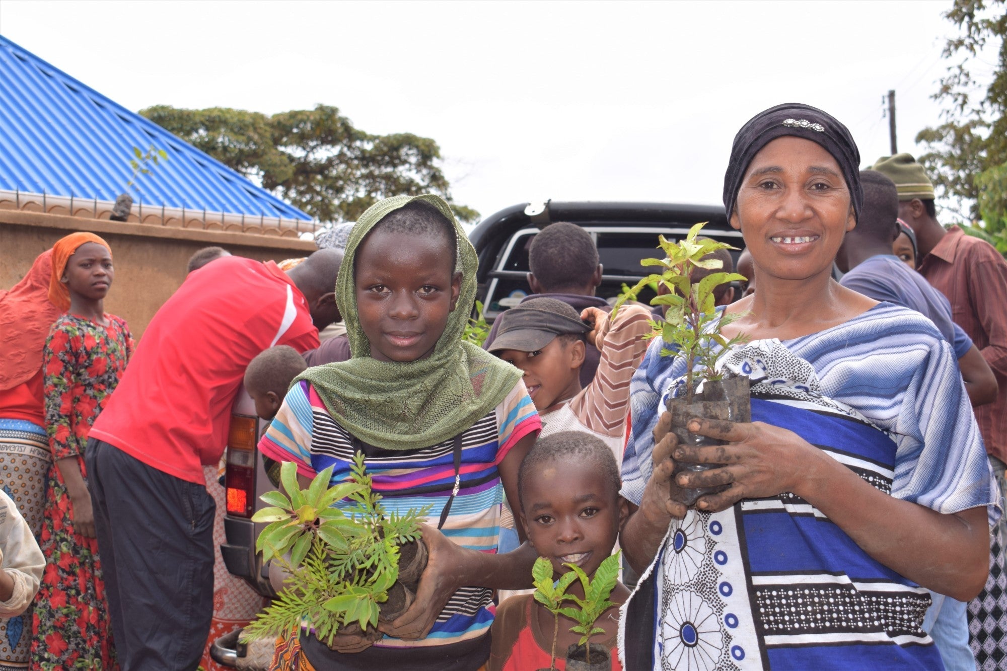 You Plant We Plant Pack of 3 Tree Kits, We Plant 30 More Trees ForestNation