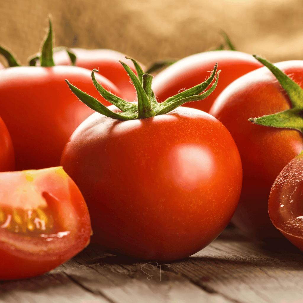 Ace 55 Tomato – 50 Seeds Southern Seeds